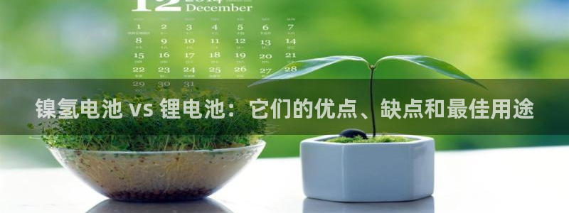 尊龙官网登录·(中国)官方网站-bd SPORTS：镍氢电池 vs 锂电池：它们的优点、缺点和最佳用途