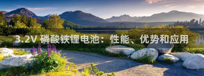 尊龙凯时人生就是博·(中国)官网最新：3.2V 磷酸铁锂电池：性能、优势和应用
