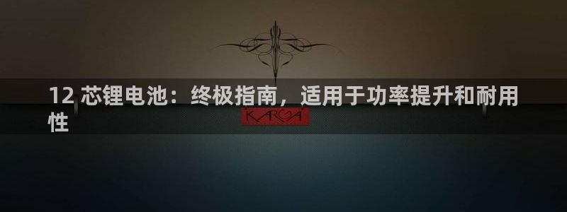 尊龙人生就是博电脑版：12 芯锂电池：终极指南，适用于功率提升和耐用
性